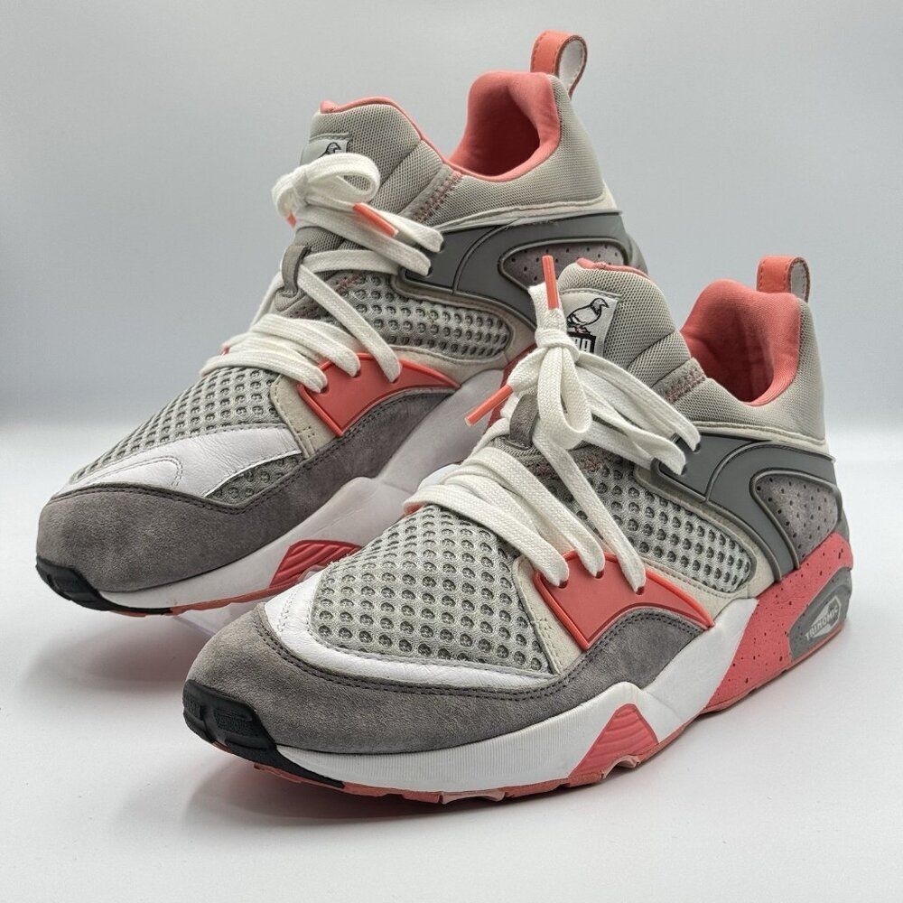 Puma Blaze of Glory OG Pigeon Staple Collab Mens 11.5 Rare 361616-01